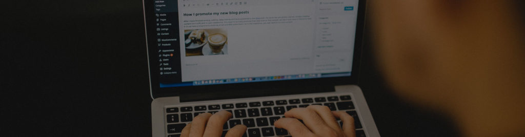 webmoghuls-custom-wordpress-development-footer