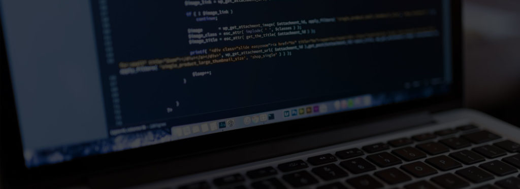 webmoghuls-wordpress-development-service-header